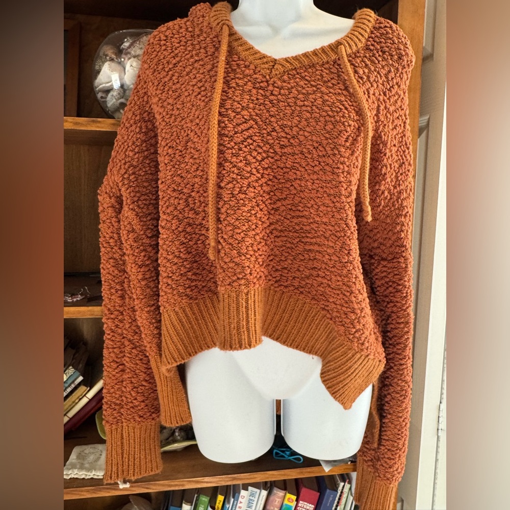 POL knit crop hoodie sweater